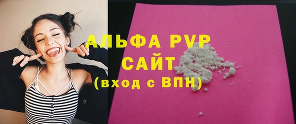 индика Козельск