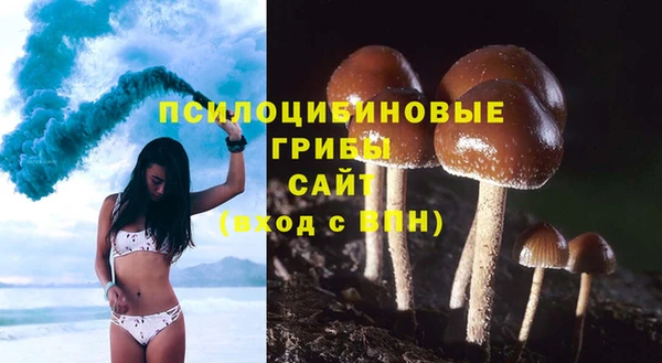 альфа пвп Корсаков