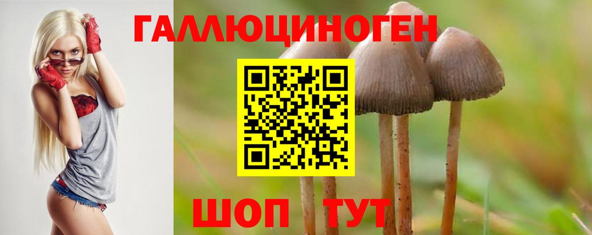 Псилоцибиновые грибы мухоморы Лесозаводск
