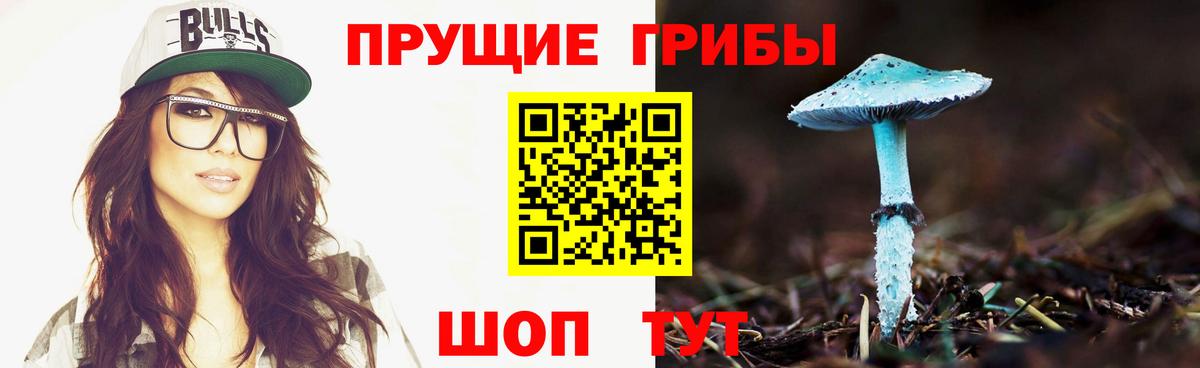 продажа наркотиков  Псилоцибиновые грибы MAGIC MUSHROOMS  Вход с VPN  Лесозаводск  Псилоцибиновые грибы мухоморы 